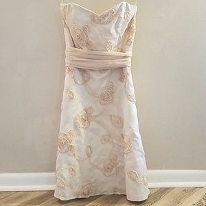 WHBM Blush Cocktail/Formal Dress